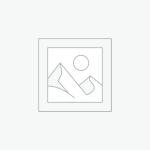 Dreamy Animal Friends